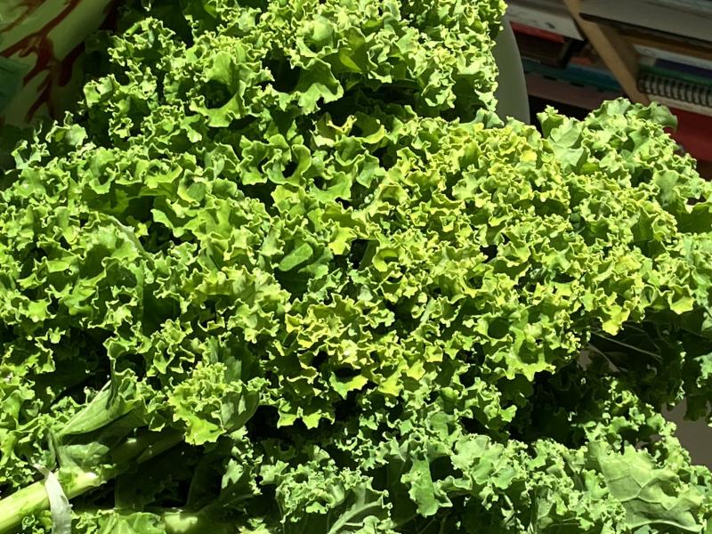 Chilly fall temperatures will mellow the somewhat bitter taste of kale, so now is the time to try it in a variety of recipes. SUBMITTED PHOTO